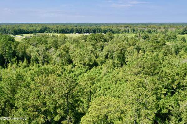 54.5 Acres of Land for Sale in Evergreen, North Carolina