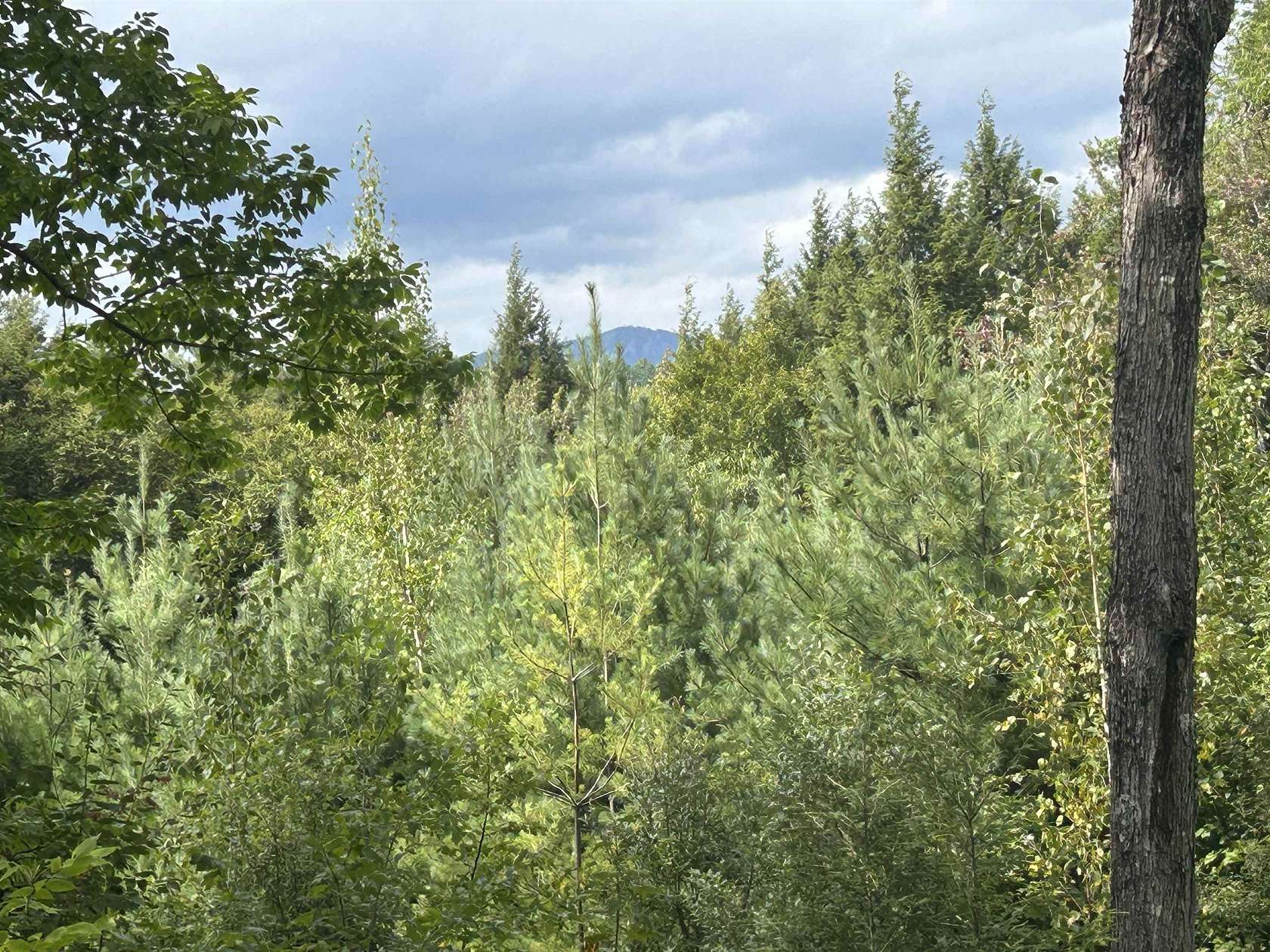 10 Acres of Land for Sale in Winhall Town, Vermont