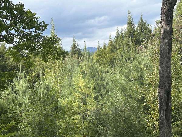 10 Acres of Land for Sale in Winhall Town, Vermont