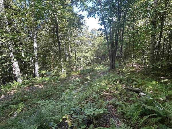 20.2 Acres of Recreational & Residential Land for Sale in Jamaica, Vermont