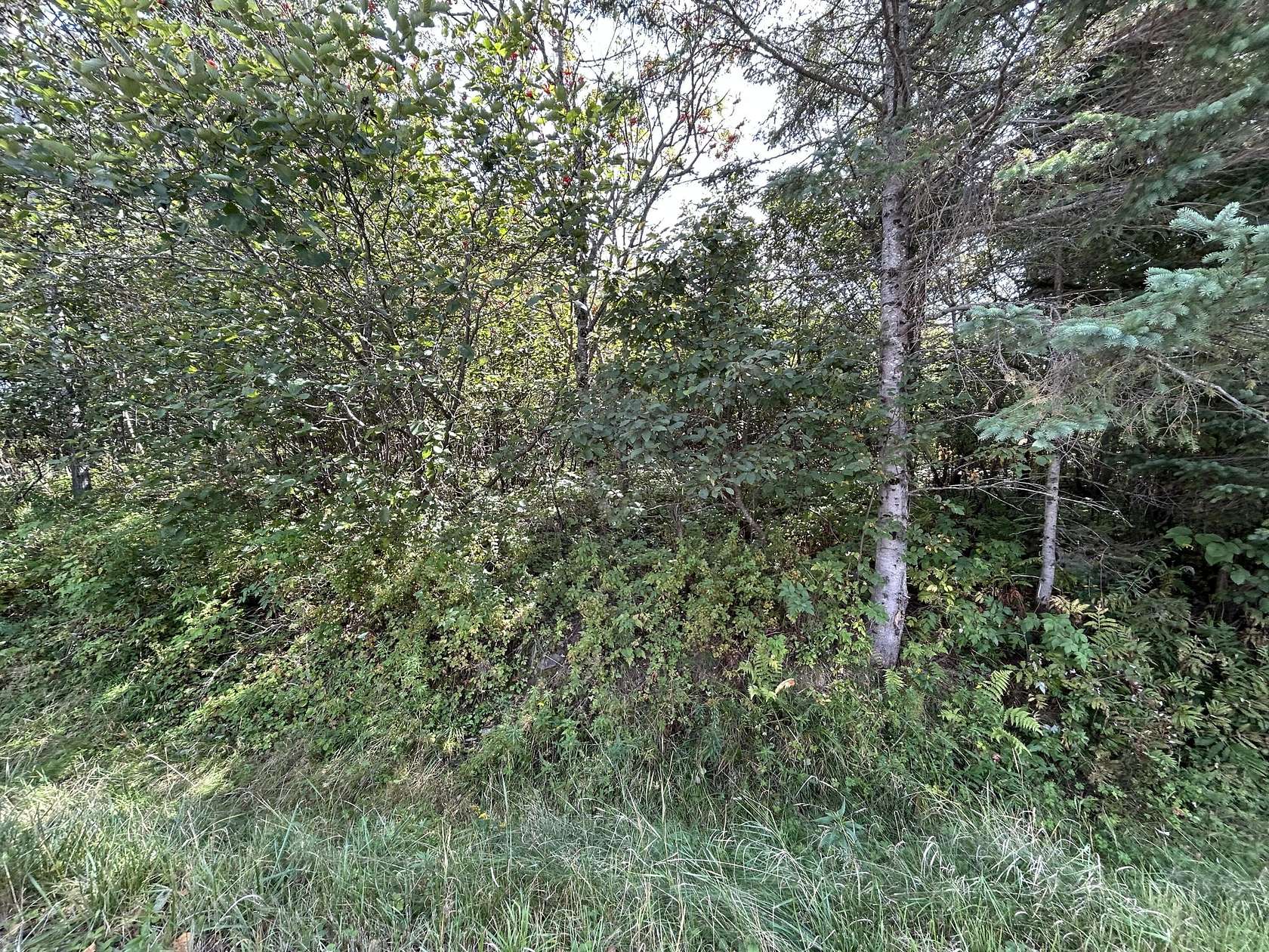 0.81 Acres of Residential Land for Sale in Rangeley, Maine