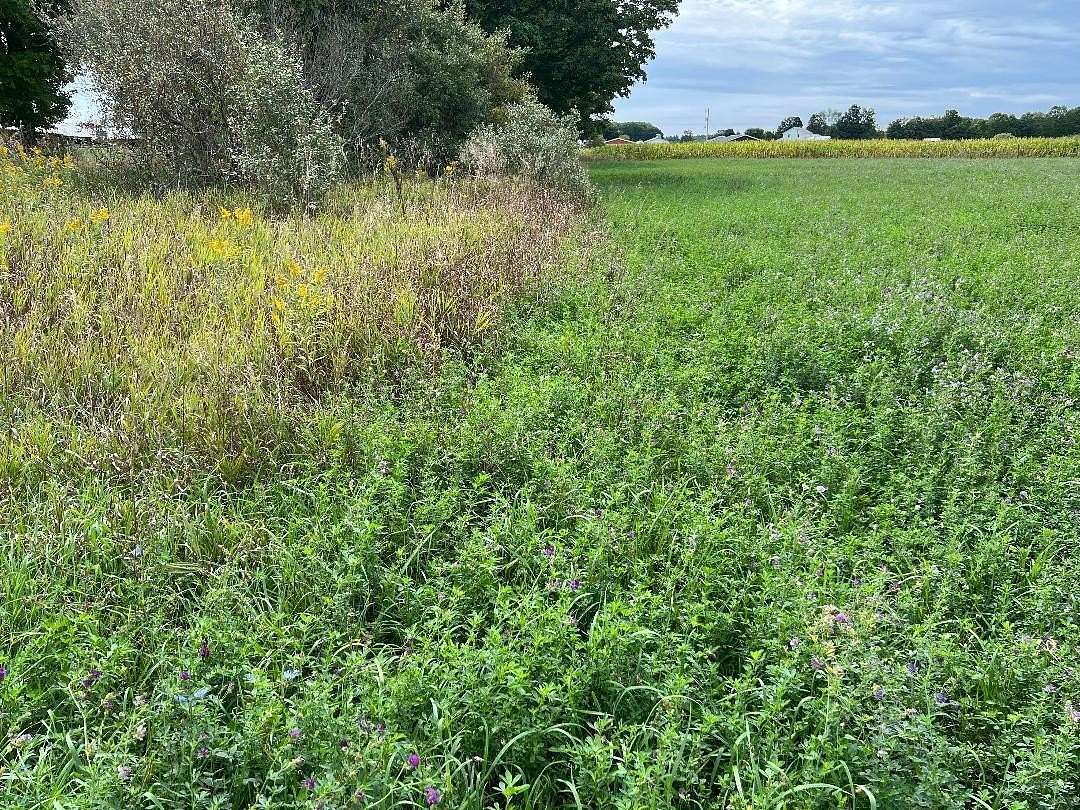 30 Acres of Agricultural Land for Sale in Lakeview, Michigan