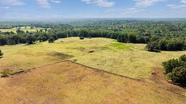 108 Acres of Land for Sale in Palestine, Texas