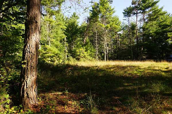 5 Acres of Land for Sale in Black River Falls, Wisconsin