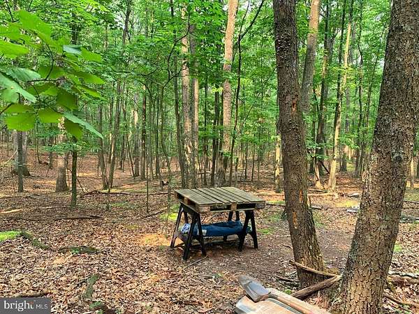 10.3 Acres of Recreational Land for Sale in Paw Paw, West Virginia