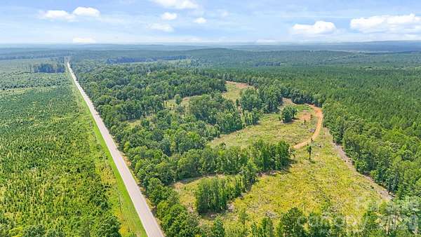 53 Acres of Recreational & Residential Land for Sale in Carlisle, South Carolina