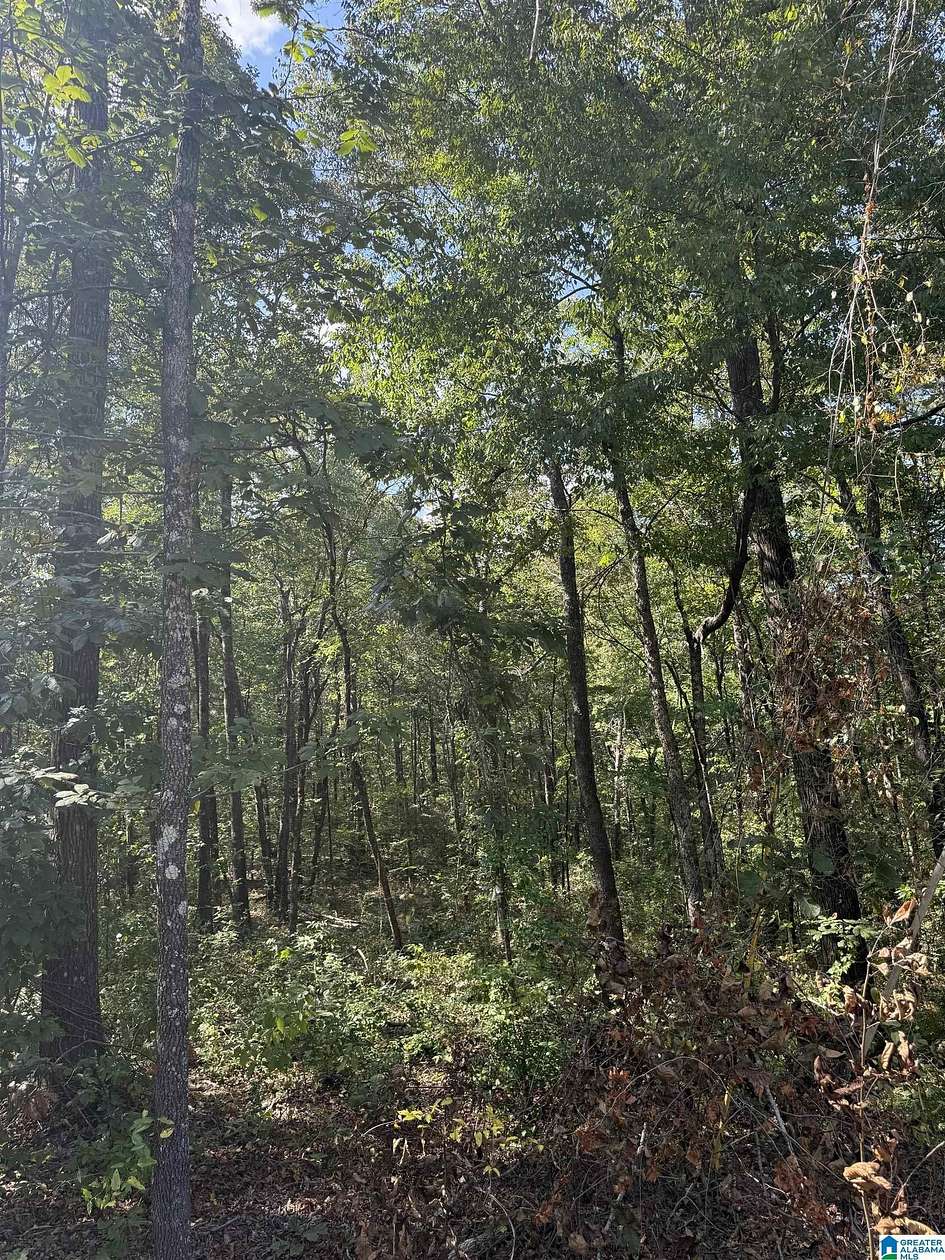 1.49 Acres of Residential Land for Sale in Wilsonville, Alabama