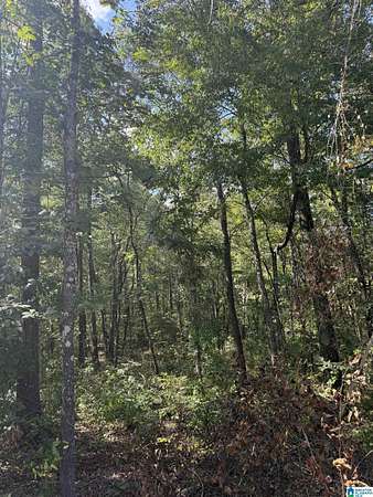 1.49 Acres of Residential Land for Sale in Wilsonville, Alabama