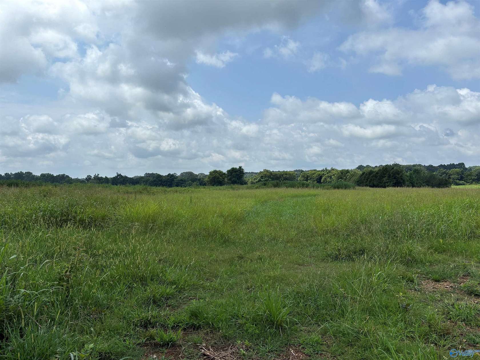 199 Acres of Agricultural Land for Sale in New Market, Alabama