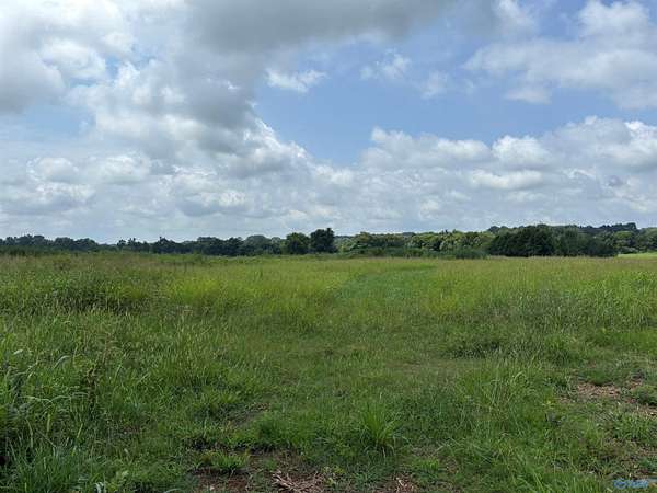 199 Acres of Agricultural Land for Sale in New Market, Alabama