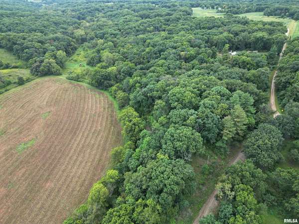 2.22 Acres of Residential Land for Sale in Glasford, Illinois