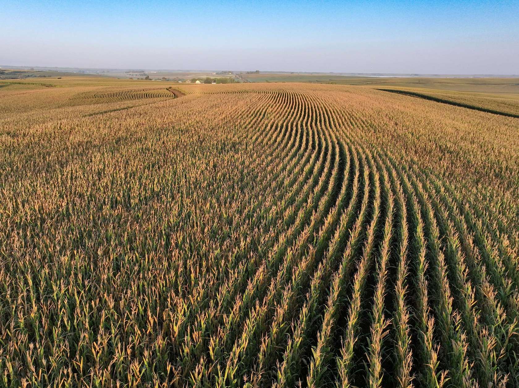 40.1 Acres of Land for Auction in Moville, Iowa