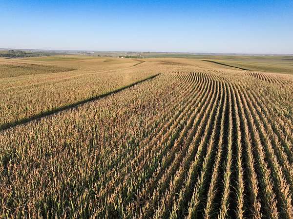 40.1 Acres of Land for Auction in Moville, Iowa
