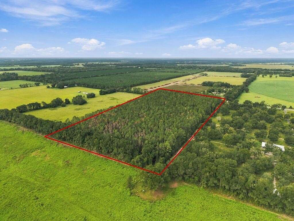 20 Acres of Agricultural Land for Sale in Trenton, Florida