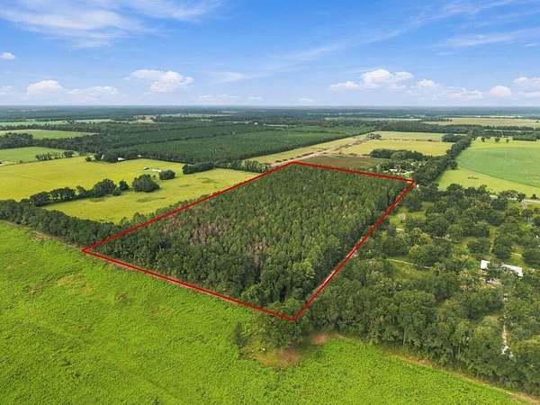 20 Acres of Agricultural Land for Sale in Trenton, Florida