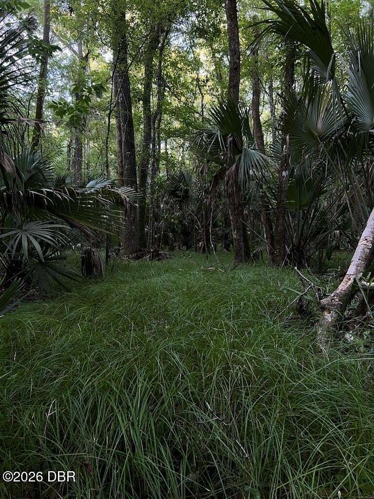 26.3 Acres of Land for Sale in Pierson, Florida