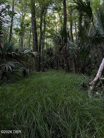 26.3 Acres of Land for Sale in Pierson, Florida