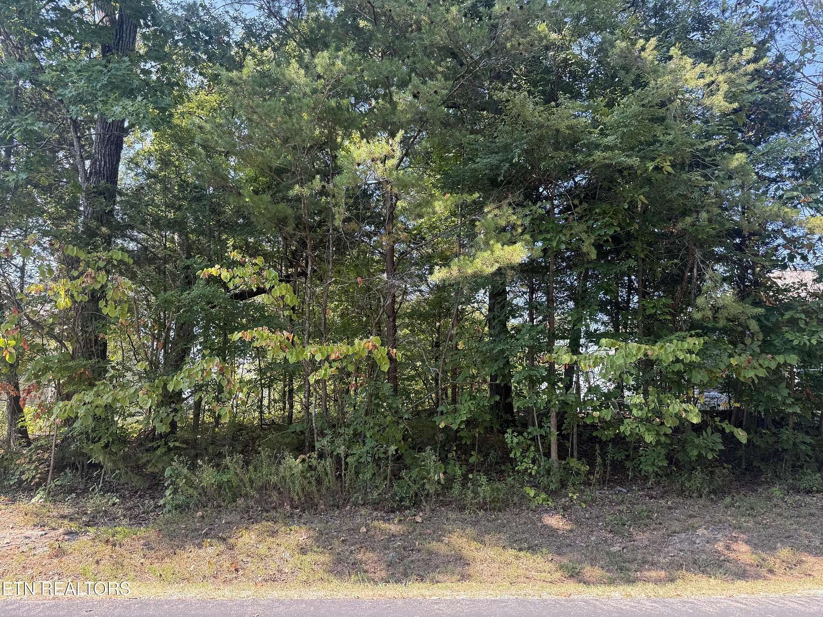 0.25 Acres of Residential Land for Sale in Loudon, Tennessee