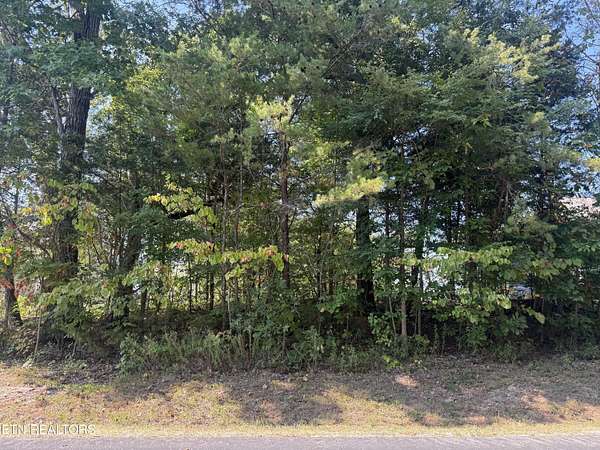 0.25 Acres of Residential Land for Sale in Loudon, Tennessee