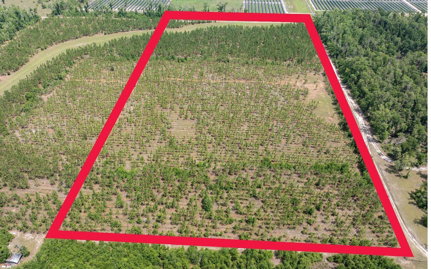 20 Acres of Land for Sale in Live Oak, Florida