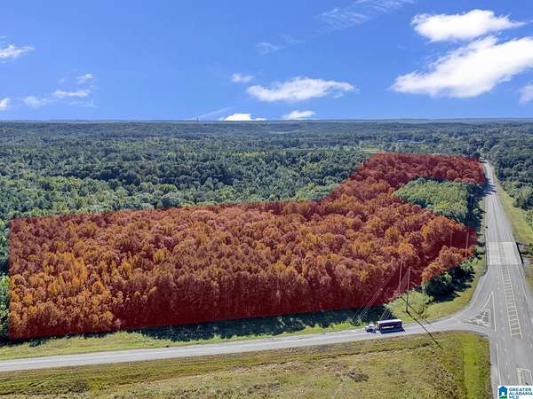 64 Acres of Land for Sale in Jasper, Alabama