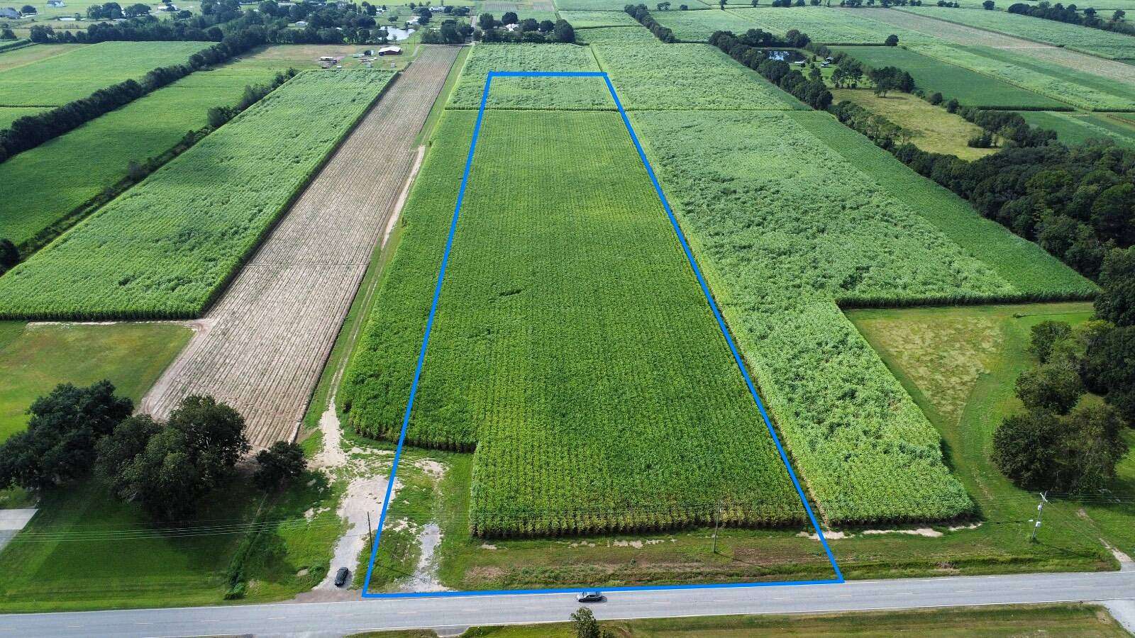 13.3 Acres of Recreational Land for Sale in Abbeville, Louisiana