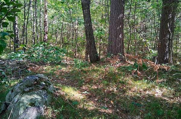 1.57 Acres of Land for Sale in Lake Tomahawk, Wisconsin