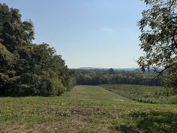 64.6 Acres of Recreational Land for Auction in Mount Juliet, Tennessee