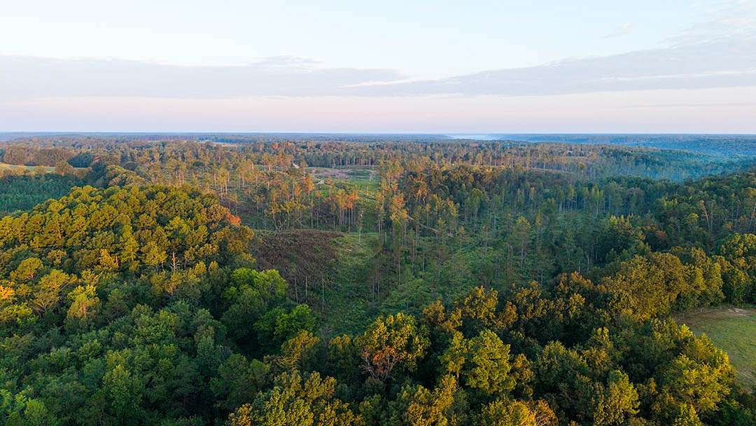 243 Acres of Land for Sale in Lutts, Tennessee