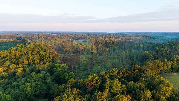 243 Acres of Land for Sale in Lutts, Tennessee