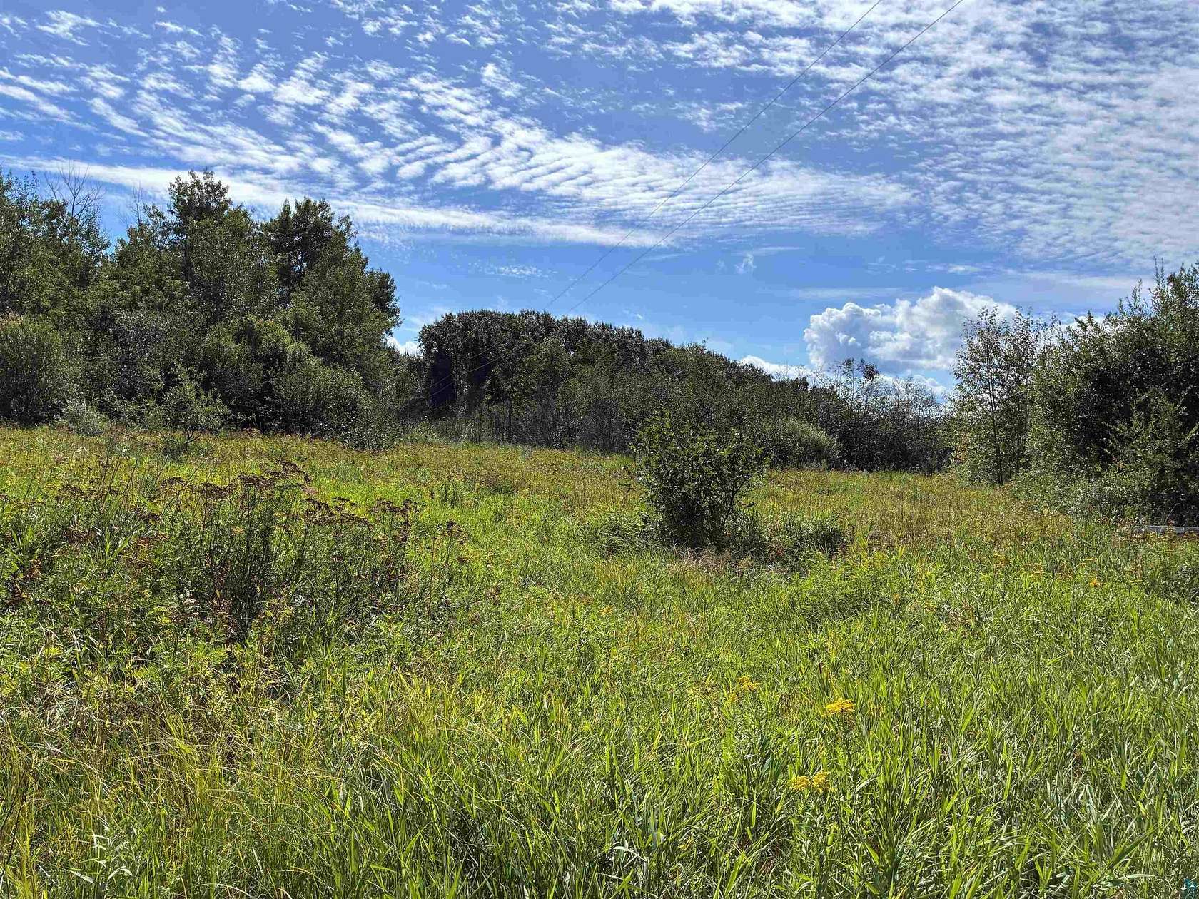 19 Acres of Land for Sale in Saginaw, Minnesota