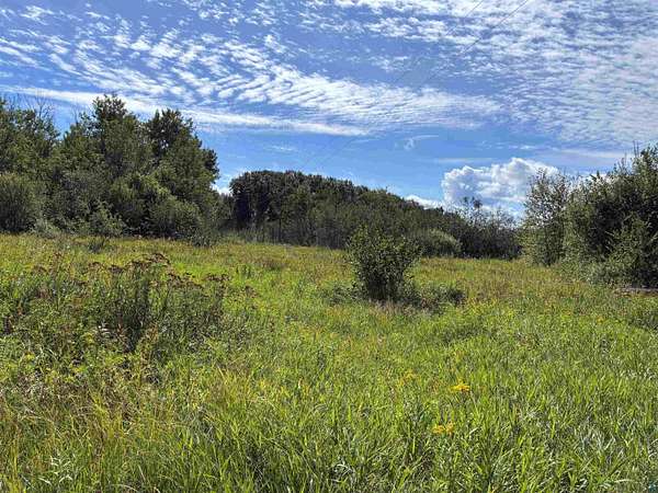 19 Acres of Land for Sale in Saginaw, Minnesota
