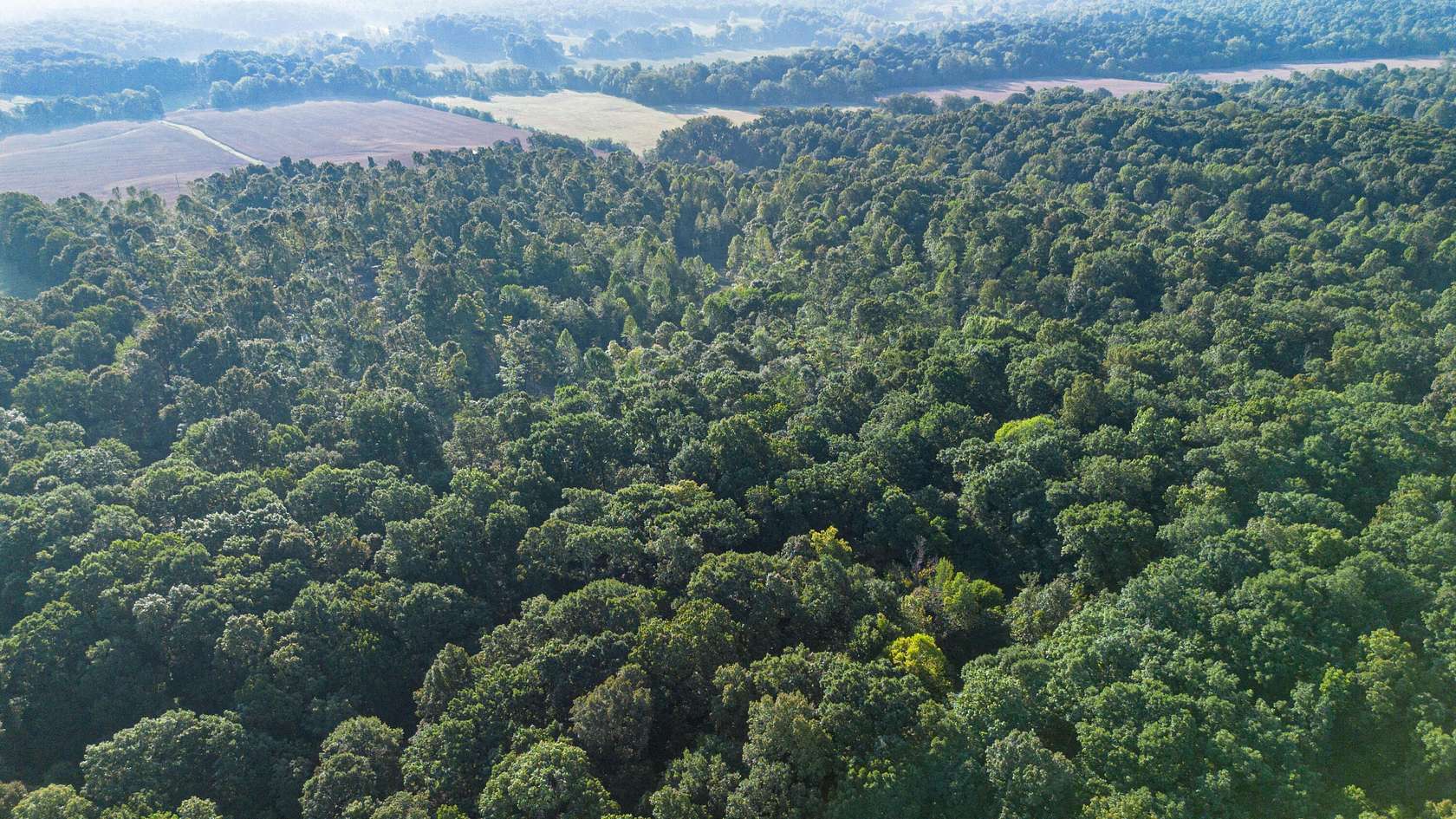30 Acres of Recreational Land for Sale in Marion, Kentucky