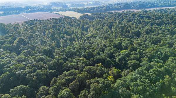 30 Acres of Recreational Land for Sale in Marion, Kentucky