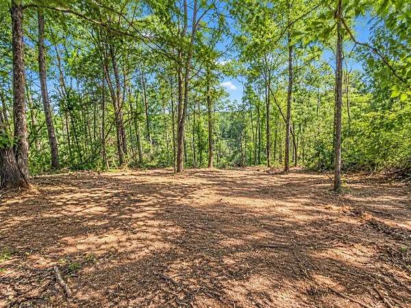 12.1 Acres of Land for Sale in Hanson, Kentucky