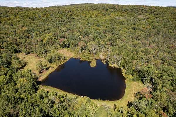 72.5 Acres of Land for Sale in Livingston Manor, New York