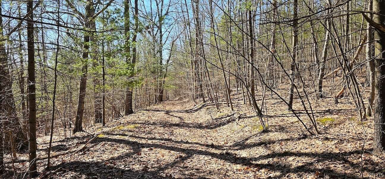 46 Acres of Recreational Land for Sale in Van Etten, New York