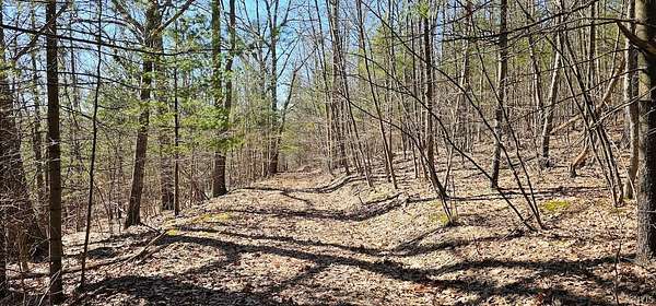 46 Acres of Recreational Land for Sale in Van Etten, New York
