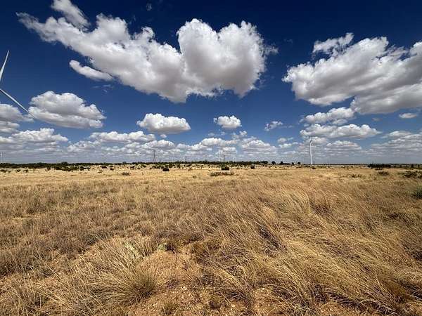 48.9 Acres of Agricultural & Residential Land for Sale in Hermleigh, Texas