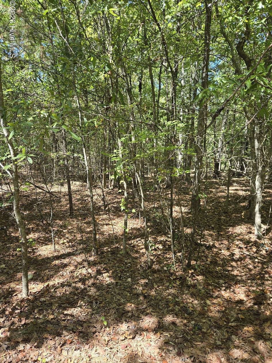 0.75 Acres of Residential Land for Sale in Lincolnton, Georgia