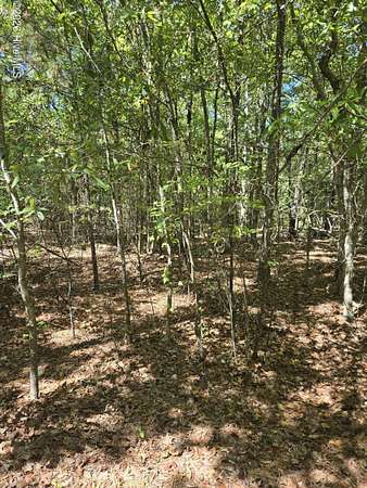 0.75 Acres of Residential Land for Sale in Lincolnton, Georgia