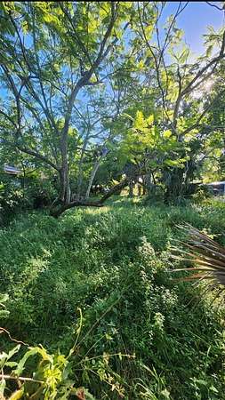 0.1 Acres of Residential Land for Sale in St. Petersburg, Florida