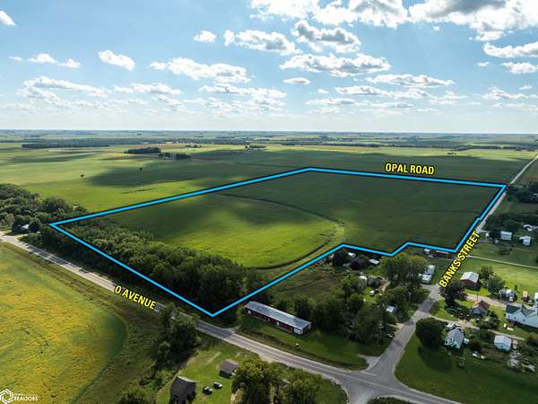 1,209 Acres of Land for Auction in Randalia, Iowa