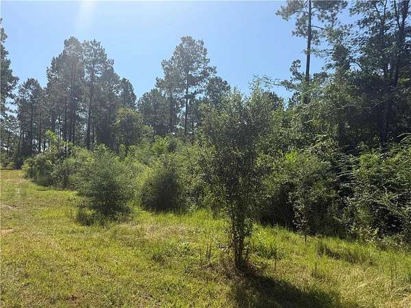 7 Acres of Residential Land for Sale in Kentwood, Louisiana