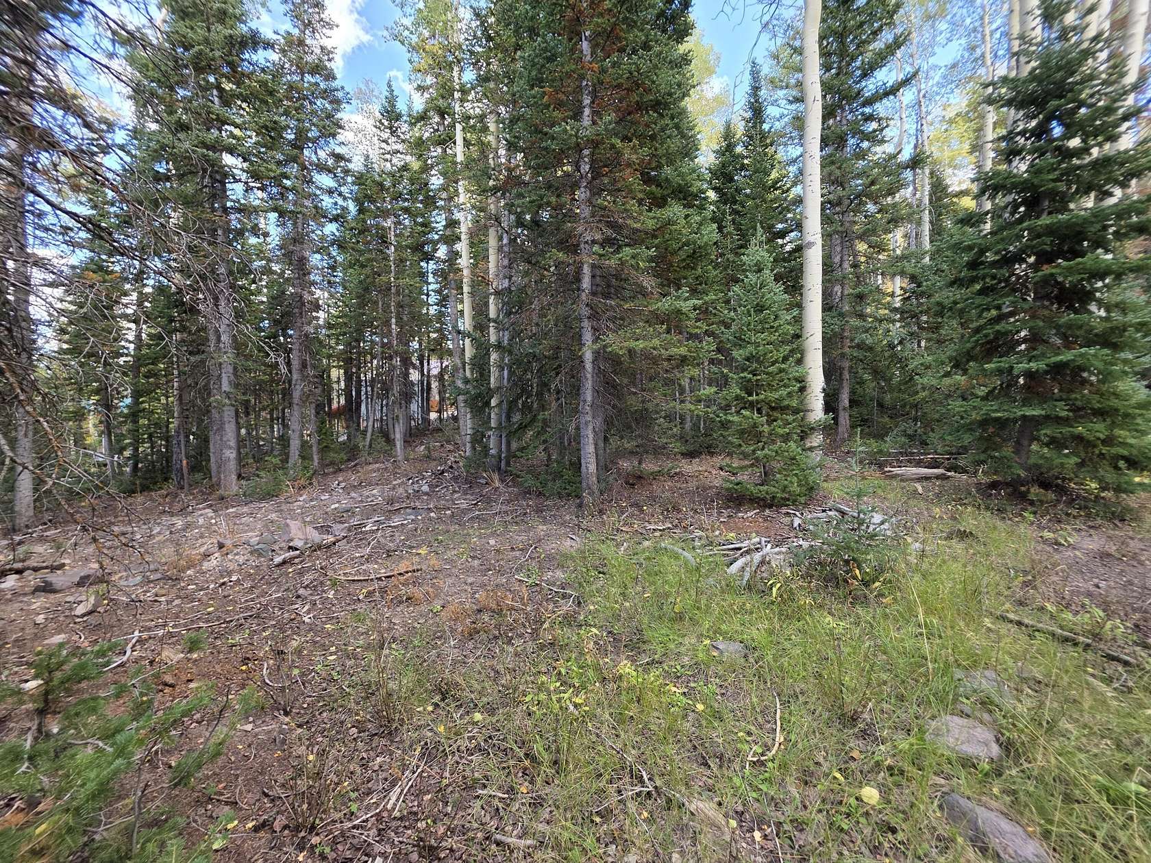 0.32 Acres of Residential Land for Sale in Brian Head, Utah
