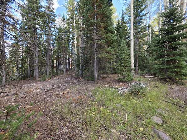 0.32 Acres of Residential Land for Sale in Brian Head, Utah