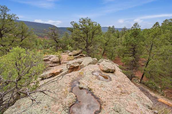 20 Acres of Recreational & Residential Land for Sale in Glorieta, New Mexico