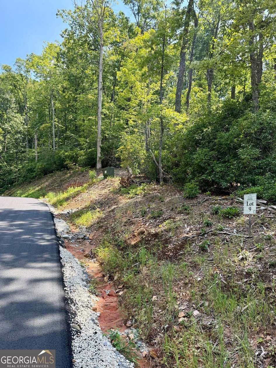 2 Acres of Land for Sale in Blue Ridge, Georgia
