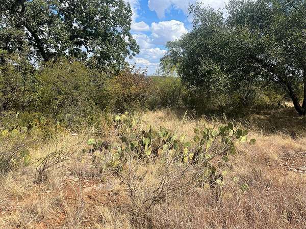 0.46 Acres of Residential Land for Sale in Brownwood, Texas