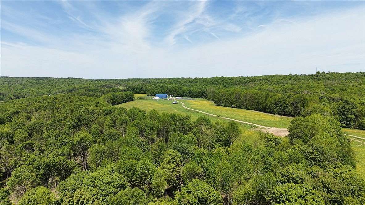97 Acres of Land with Home for Sale in McDonough, New York